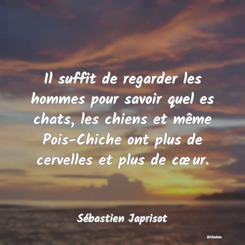 image de citation: Il suffit de regarder les hommes pour savoir quel es chats, les chiens et même Pois-Chiche ont plus de cervelles et plus de cœur.