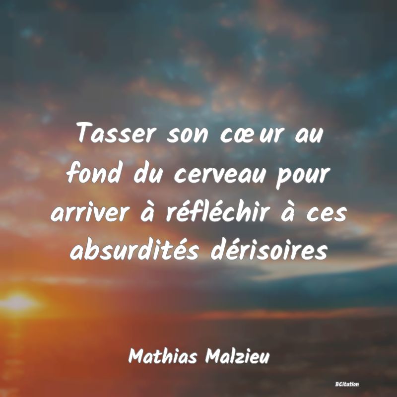 image de citation: Tasser son cœur au fond du cerveau pour arriver à réfléchir à ces absurdités dérisoires