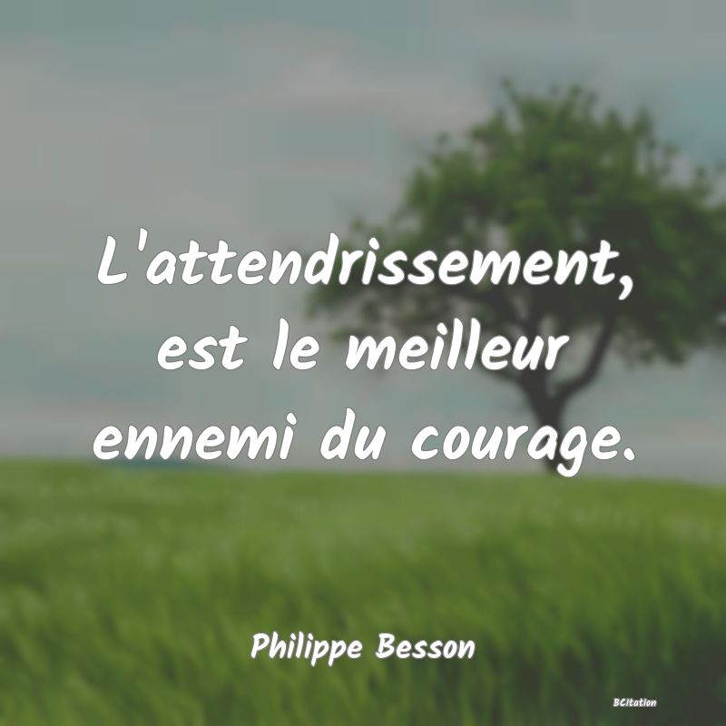 image de citation: L'attendrissement, est le meilleur ennemi du courage.