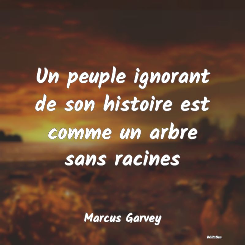 image de citation: Un peuple ignorant de son histoire est comme un arbre sans racines