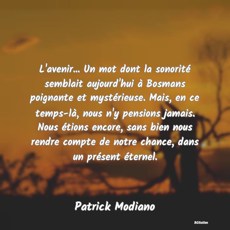 image de citation: L'avenir... Un mot dont la sonorité semblait aujourd'hui à Bosmans poignante et mystérieuse. Mais, en ce temps-là, nous n'y pensions jamais. Nous étions encore, sans bien nous rendre compte de notre chance, dans un présent éternel.