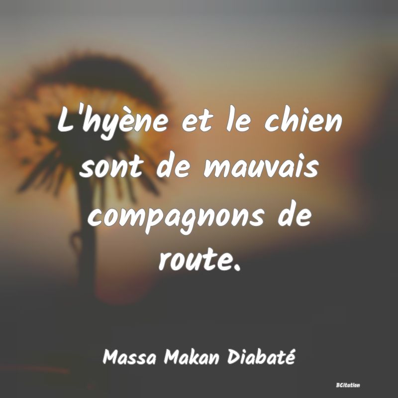 image de citation: L'hyène et le chien sont de mauvais compagnons de route.