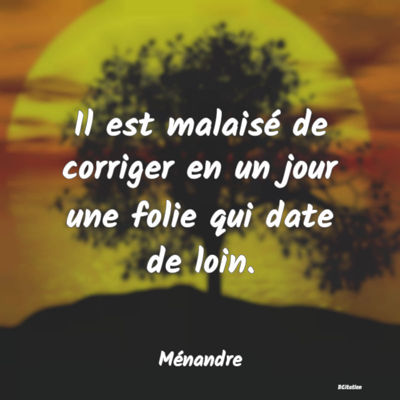 image de citation: Il est malaisé de corriger en un jour une folie qui date de loin.