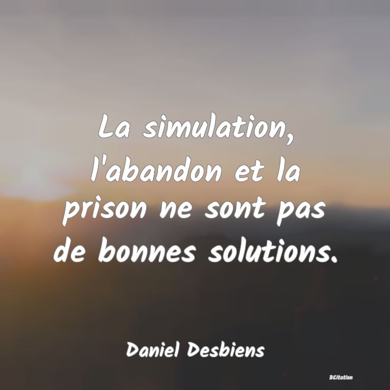 Belle Citation - La simulation, l'abandon et la prison ne sont pas de bonnes solutions. - Daniel Desbiens