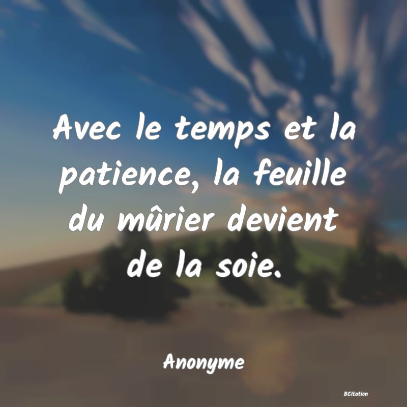 image de citation: Avec le temps et la patience, la feuille du mûrier devient de la soie.