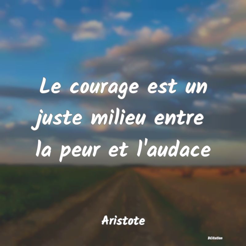 image de citation: Le courage est un juste milieu entre la peur et l'audace