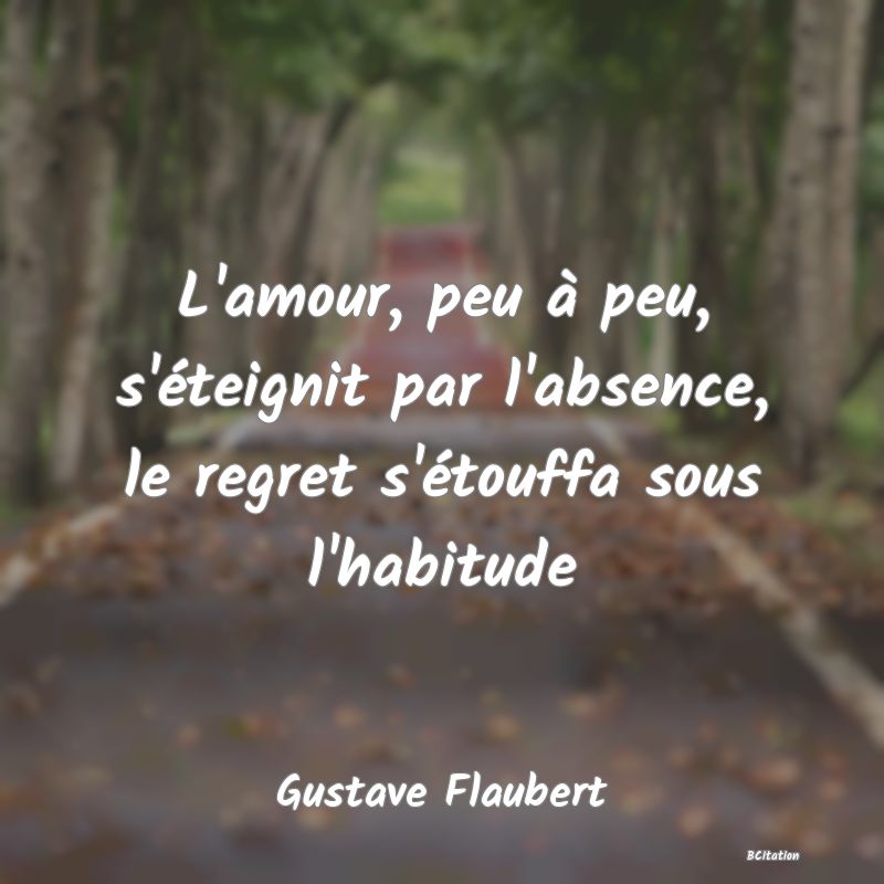 Belle Citation - L'amour, peu à peu, s'éteignit par l'absence, le regret s'étouffa sous l'habitude - Gustave Flaubert