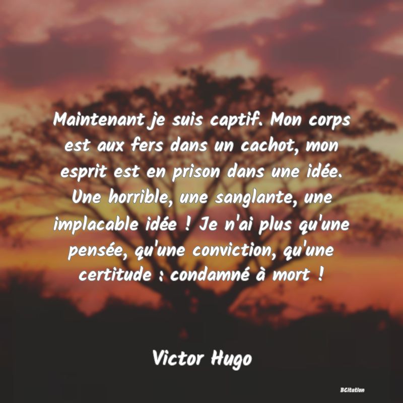 image de citation: Maintenant je suis captif. Mon corps est aux fers dans un cachot, mon esprit est en prison dans une idée. Une horrible, une sanglante, une implacable idée ! Je n'ai plus qu'une pensée, qu'une conviction, qu'une certitude : condamné à mort !