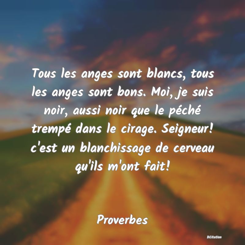 image de citation: Tous les anges sont blancs, tous les anges sont bons. Moi, je suis noir, aussi noir que le péché trempé dans le cirage. Seigneur! c'est un blanchissage de cerveau qu'ils m'ont fait!