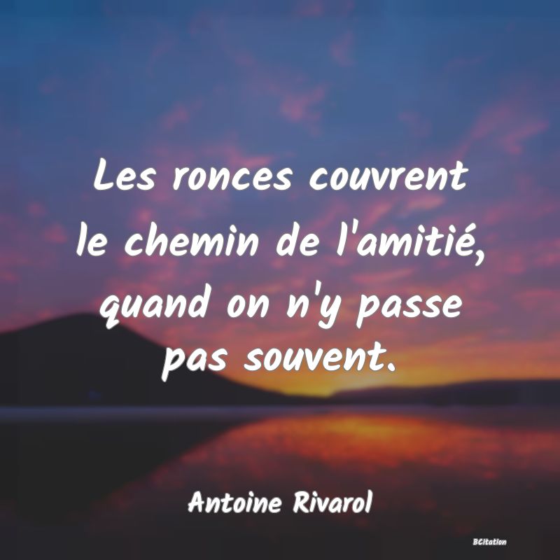 image de citation: Les ronces couvrent le chemin de l'amitié, quand on n'y passe pas souvent.