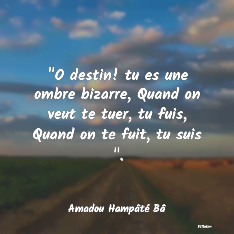 image de citation:  O destin! tu es une ombre bizarre, Quand on veut te tuer, tu fuis, Quand on te fuit, tu suis  .