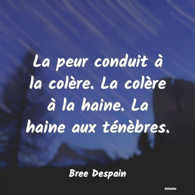 image de citation: La peur conduit à la colère. La colère à la haine. La haine aux ténèbres.