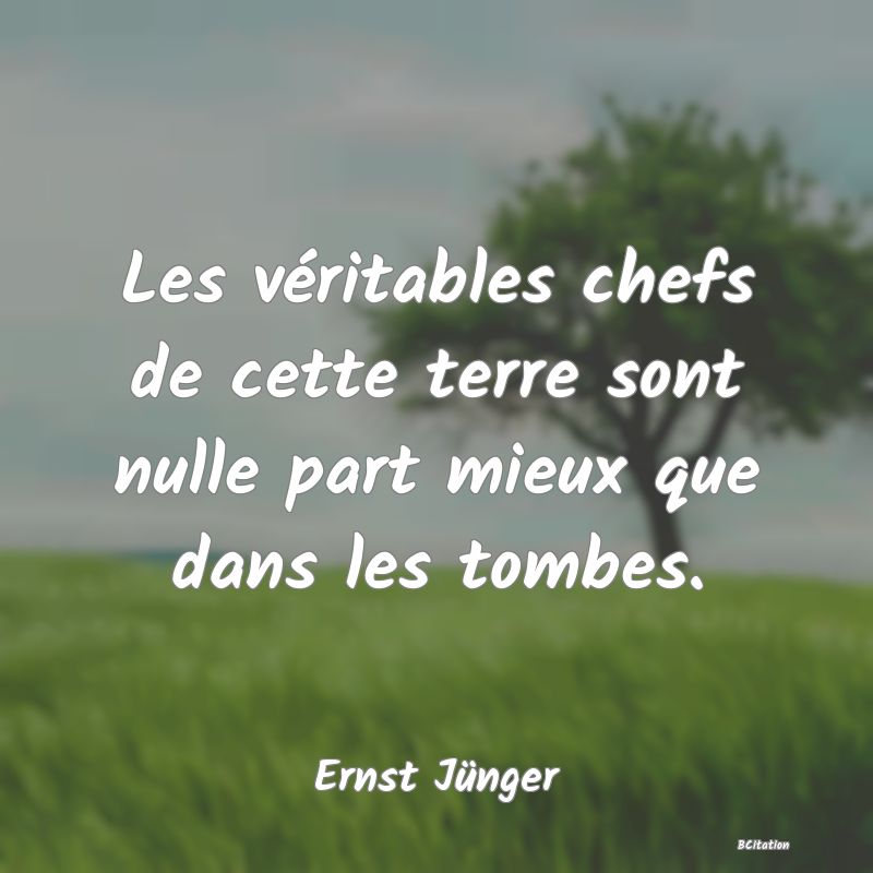 Belle Citation - Les véritables chefs de cette terre sont nulle part mieux que dans les tombes. - Ernst Jünger