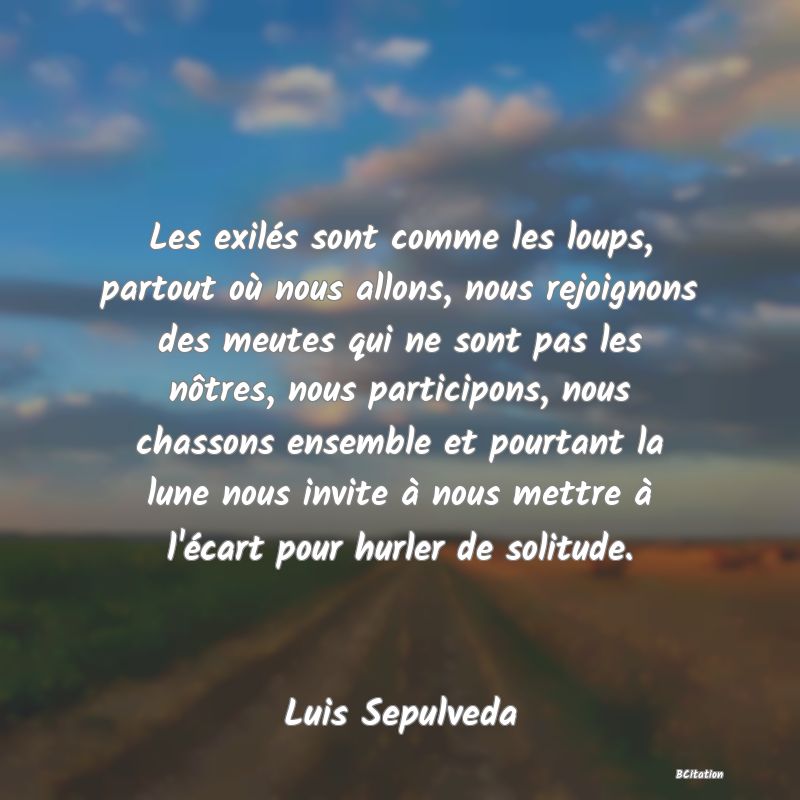 image de citation: Les exilés sont comme les loups, partout où nous allons, nous rejoignons des meutes qui ne sont pas les nôtres, nous participons, nous chassons ensemble et pourtant la lune nous invite à nous mettre à l'écart pour hurler de solitude.