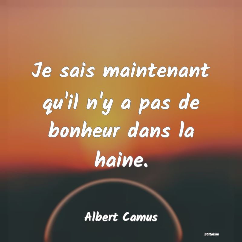 image de citation: Je sais maintenant qu'il n'y a pas de bonheur dans la haine.