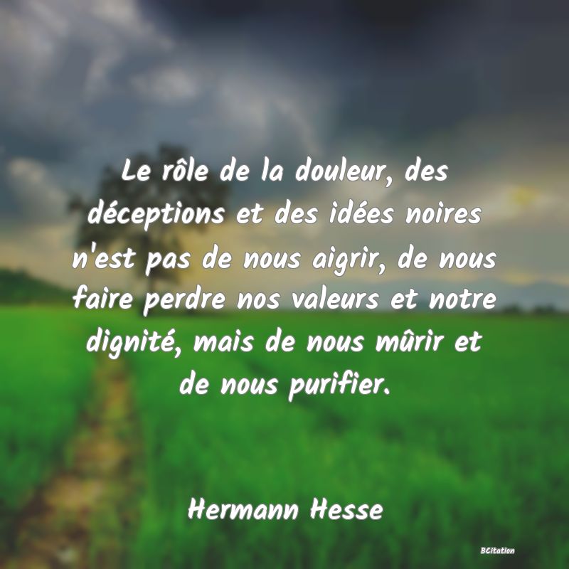 image de citation: Le rôle de la douleur, des déceptions et des idées noires n'est pas de nous aigrir, de nous faire perdre nos valeurs et notre dignité, mais de nous mûrir et de nous purifier.