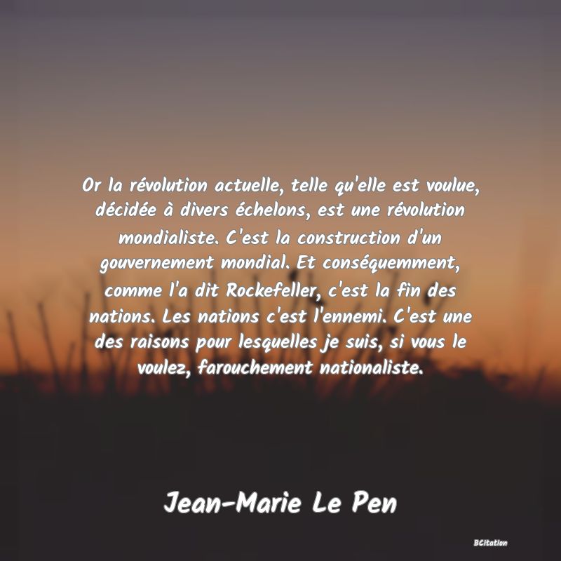 image de citation: Or la révolution actuelle, telle qu'elle est voulue, décidée à divers échelons, est une révolution mondialiste. C'est la construction d'un gouvernement mondial. Et conséquemment, comme l'a dit Rockefeller, c'est la fin des nations. Les nations c'est l'ennemi. C'est une des raisons pour lesquelles je suis, si vous le voulez, farouchement nationaliste.