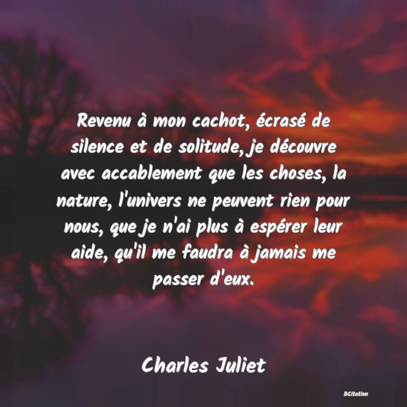 image de citation: Revenu à mon cachot, écrasé de silence et de solitude, je découvre avec accablement que les choses, la nature, l'univers ne peuvent rien pour nous, que je n'ai plus à espérer leur aide, qu'il me faudra à jamais me passer d'eux.