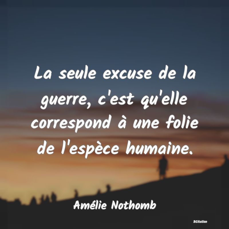 image de citation: La seule excuse de la guerre, c'est qu'elle correspond à une folie de l'espèce humaine.