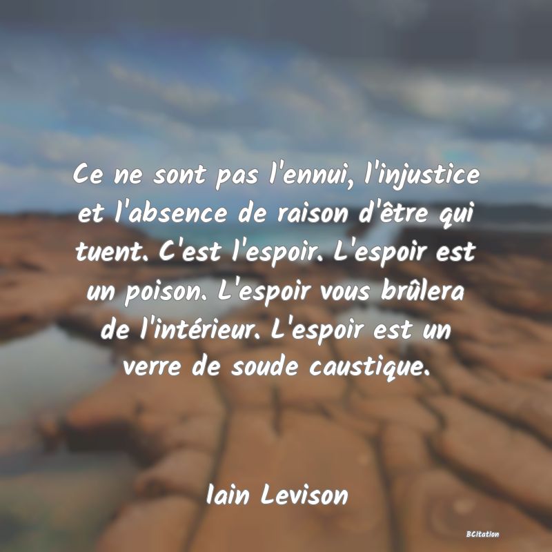 image de citation: Ce ne sont pas l'ennui, l'injustice et l'absence de raison d'être qui tuent. C'est l'espoir. L'espoir est un poison. L'espoir vous brûlera de l'intérieur. L'espoir est un verre de soude caustique.