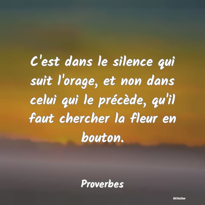 image de citation: C'est dans le silence qui suit l'orage, et non dans celui qui le précède, qu'il faut chercher la fleur en bouton.