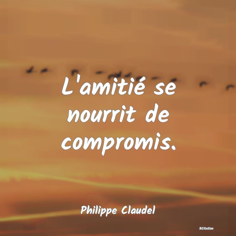 image de citation: L'amitié se nourrit de compromis.