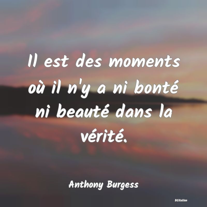 image de citation: Il est des moments où il n'y a ni bonté ni beauté dans la vérité.