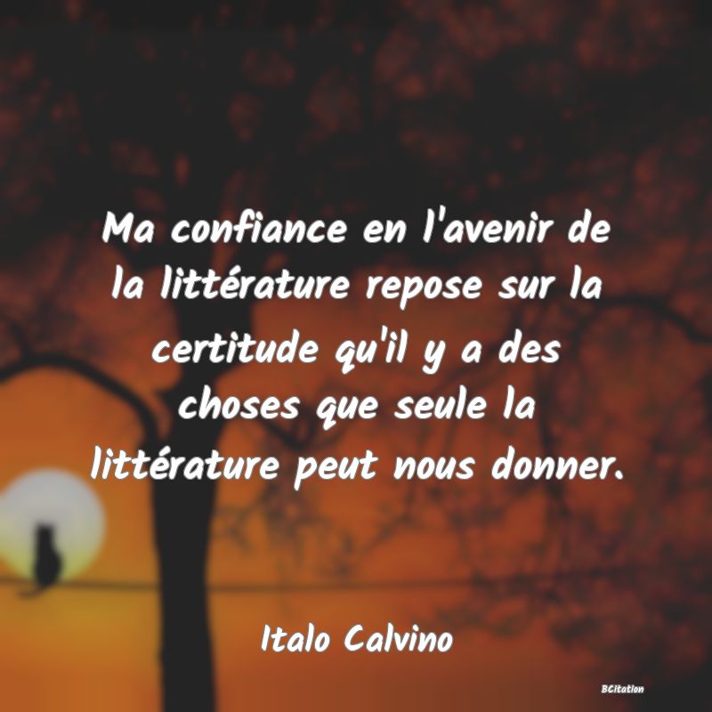 image de citation: Ma confiance en l'avenir de la littérature repose sur la certitude qu'il y a des choses que seule la littérature peut nous donner.