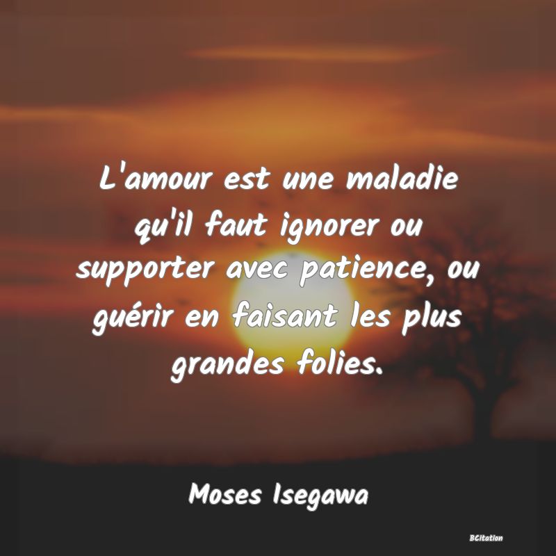 image de citation: L'amour est une maladie qu'il faut ignorer ou supporter avec patience, ou guérir en faisant les plus grandes folies.