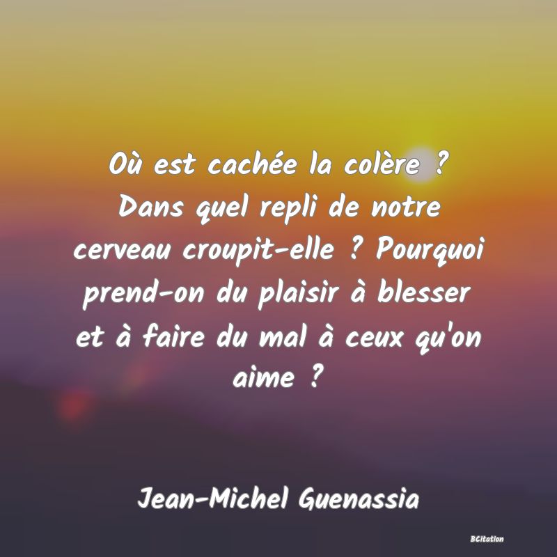 Belle Citation - Où est cachée la colère ? Dans quel repli de notre cerveau croupit-elle ? Pourquoi prend-on du plaisir à blesser et à faire du mal à ceux qu'on aime ? - Jean-Michel Guenassia