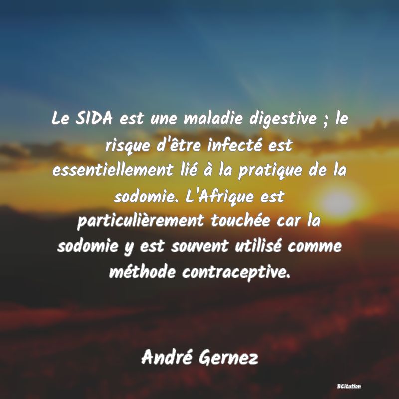 image de citation: Le SIDA est une maladie digestive ; le risque d'être infecté est essentiellement lié à la pratique de la sodomie. L'Afrique est particulièrement touchée car la sodomie y est souvent utilisé comme méthode contraceptive.