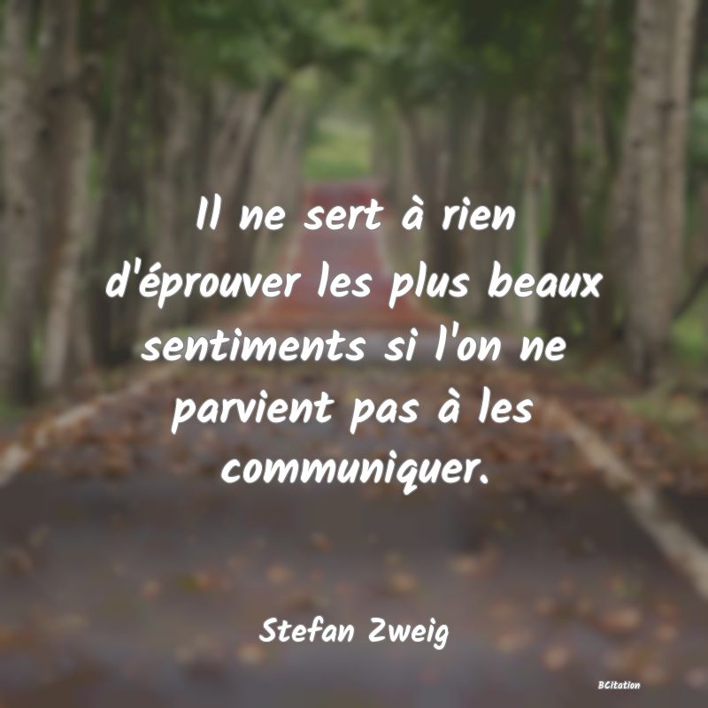 image de citation: Il ne sert à rien d'éprouver les plus beaux sentiments si l'on ne parvient pas à les communiquer.