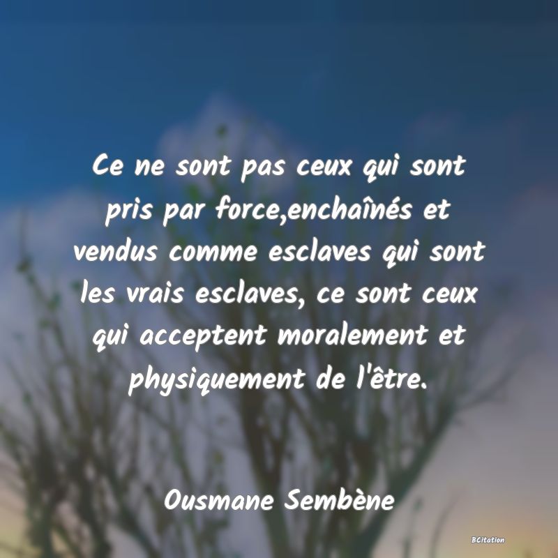 image de citation: Ce ne sont pas ceux qui sont pris par force,enchaînés et vendus comme esclaves qui sont les vrais esclaves, ce sont ceux qui acceptent moralement et physiquement de l'être.