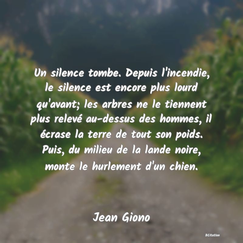 image de citation: Un silence tombe. Depuis l'incendie, le silence est encore plus lourd qu'avant; les arbres ne le tiennent plus relevé au-dessus des hommes, il écrase la terre de tout son poids. Puis, du milieu de la lande noire, monte le hurlement d'un chien.