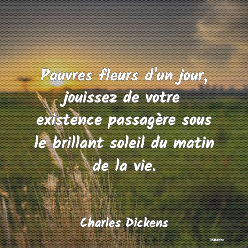 Belle Citation - Pauvres fleurs d'un jour, jouissez de votre existence passagère sous le brillant soleil du matin de la vie. - Charles Dickens