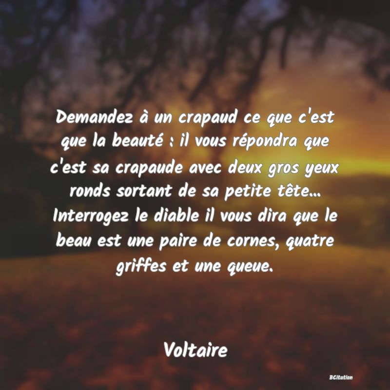 image de citation: Demandez à un crapaud ce que c'est que la beauté : il vous répondra que c'est sa crapaude avec deux gros yeux ronds sortant de sa petite tête... Interrogez le diable il vous dira que le beau est une paire de cornes, quatre griffes et une queue.