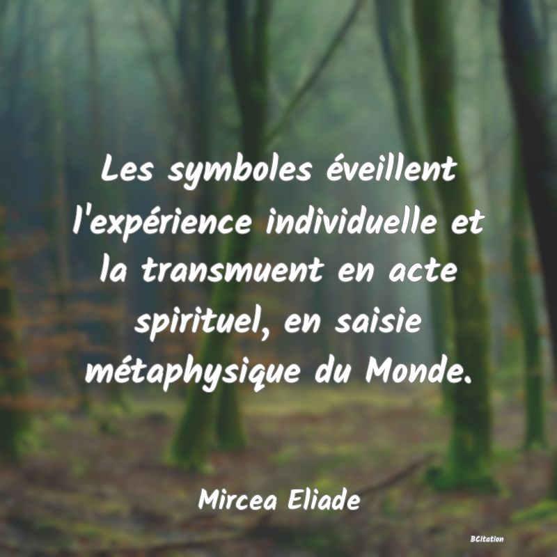 image de citation: Les symboles éveillent l'expérience individuelle et la transmuent en acte spirituel, en saisie métaphysique du Monde.