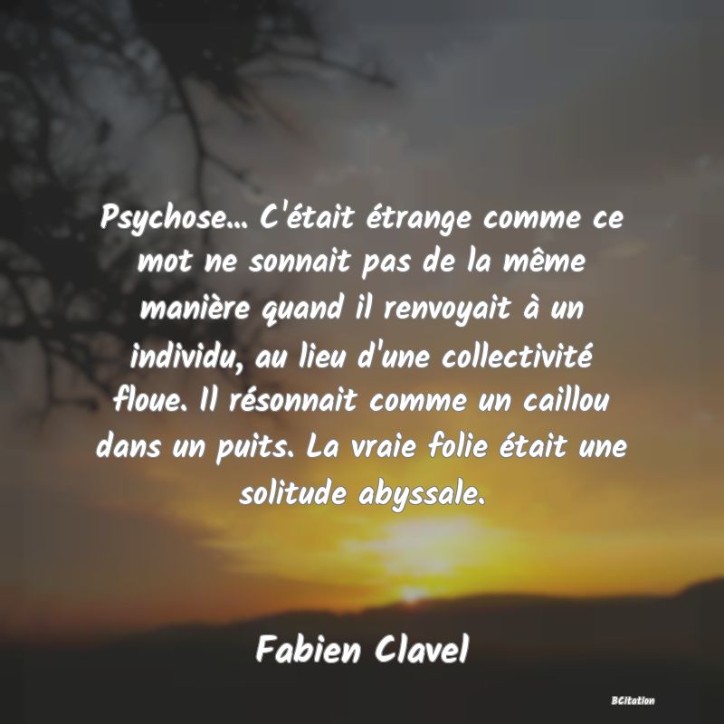 image de citation: Psychose... C'était étrange comme ce mot ne sonnait pas de la même manière quand il renvoyait à un individu, au lieu d'une collectivité floue. Il résonnait comme un caillou dans un puits. La vraie folie était une solitude abyssale.