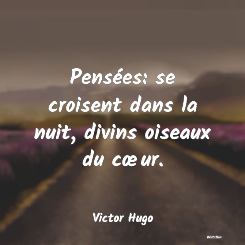 image de citation: Pensées: se croisent dans la nuit, divins oiseaux du cœur.