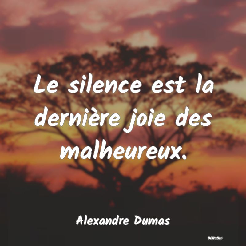 Belle Citation - Le silence est la dernière joie des malheureux. - Alexandre Dumas
