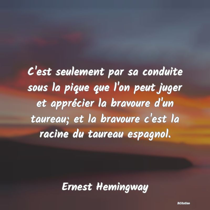 image de citation: C'est seulement par sa conduite sous la pique que l'on peut juger et apprécier la bravoure d'un taureau; et la bravoure c'est la racine du taureau espagnol.