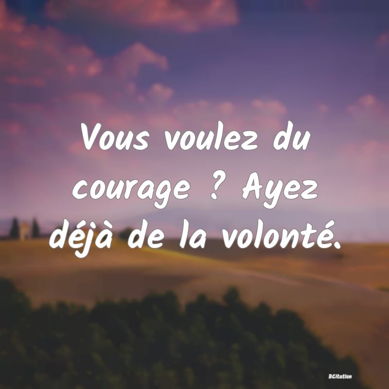 image de citation: Vous voulez du courage ? Ayez déjà de la volonté.