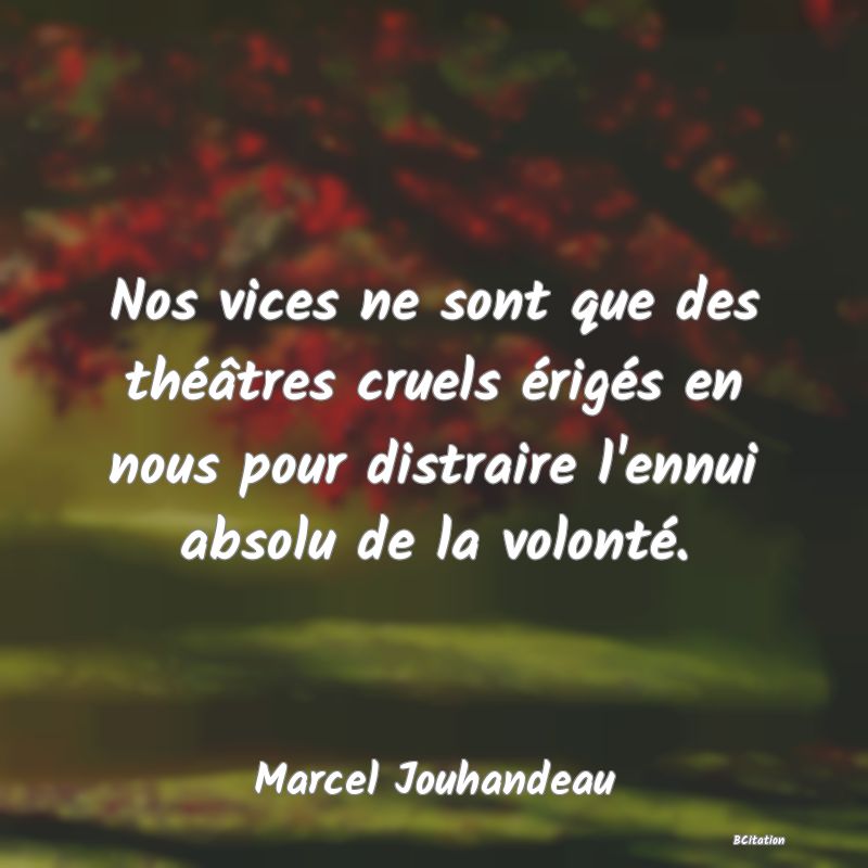image de citation: Nos vices ne sont que des théâtres cruels érigés en nous pour distraire l'ennui absolu de la volonté.