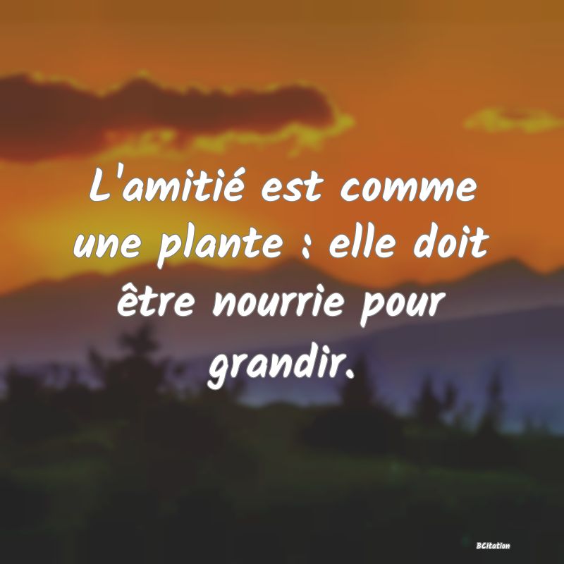 image de citation: L'amitié est comme une plante : elle doit être nourrie pour grandir.
