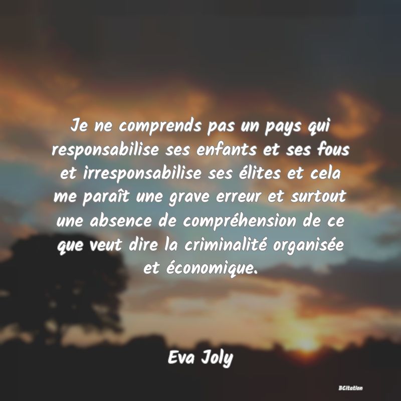 image de citation: Je ne comprends pas un pays qui responsabilise ses enfants et ses fous et irresponsabilise ses élites et cela me paraît une grave erreur et surtout une absence de compréhension de ce que veut dire la criminalité organisée et économique.