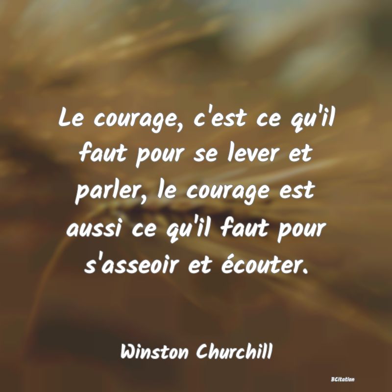 image de citation: Le courage, c'est ce qu'il faut pour se lever et parler, le courage est aussi ce qu'il faut pour s'asseoir et écouter.