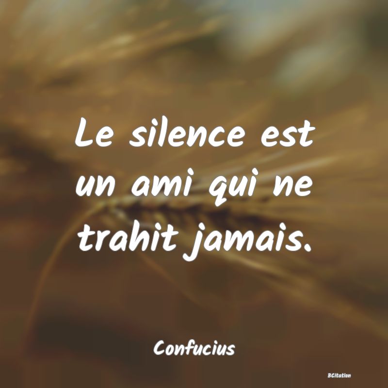 image de citation: Le silence est un ami qui ne trahit jamais.