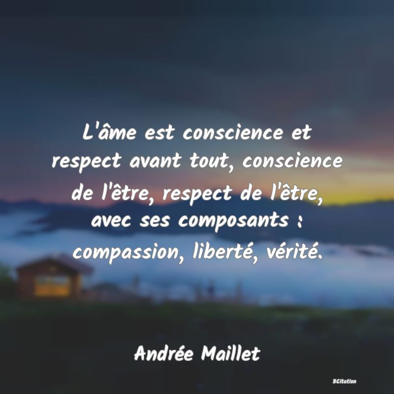 image de citation: L'âme est conscience et respect avant tout, conscience de l'être, respect de l'être, avec ses composants : compassion, liberté, vérité.