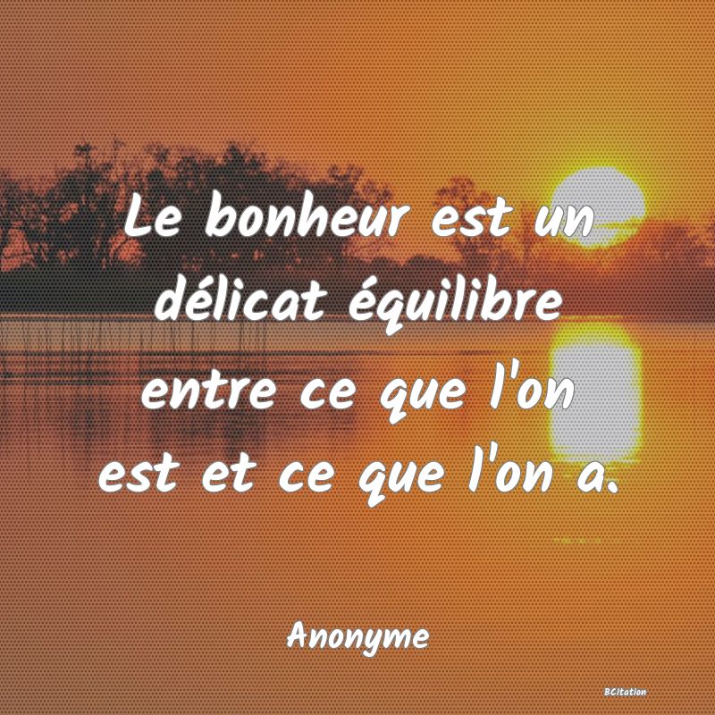 image de citation: Le bonheur est un délicat équilibre entre ce que l'on est et ce que l'on a.