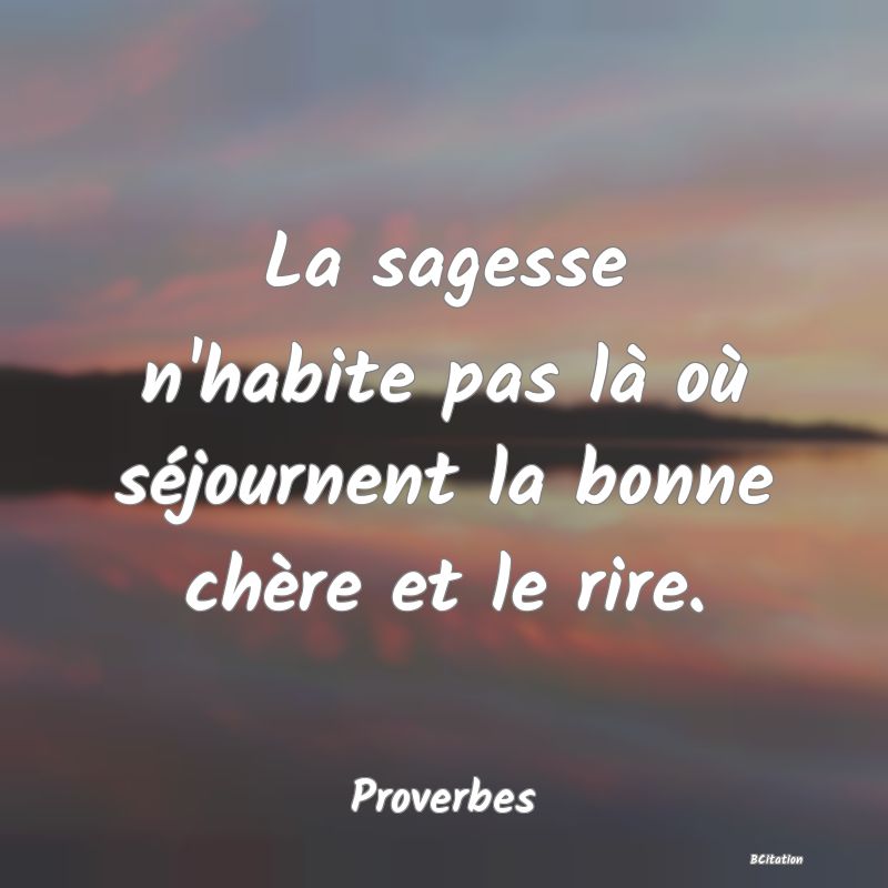 image de citation: La sagesse n'habite pas là où séjournent la bonne chère et le rire.